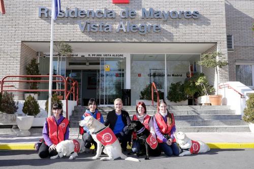 Терапевтические собаки Мадрида в использовании